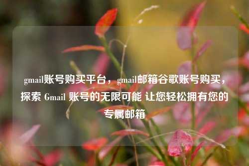 gmail账号购买平台，gmail邮箱谷歌账号购买，探索 Gmail 账号的无限可能 让您轻松拥有您的专属邮箱