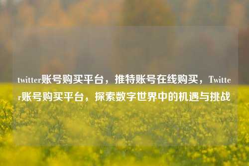 twitter账号购买平台，推特账号在线购买，Twitter账号购买平台	，探索数字世界中的机遇与挑战  第1张