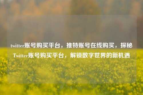 twitter账号购买平台	，推特账号在线购买，探秘Twitter账号购买平台，解锁数字世界的新机遇  第1张