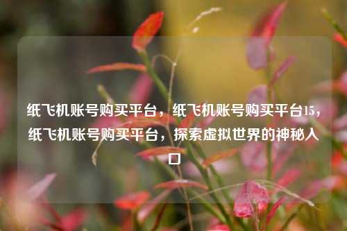 纸飞机账号购买平台，纸飞机账号购买平台15，纸飞机账号购买平台，探索虚拟世界的神秘入口