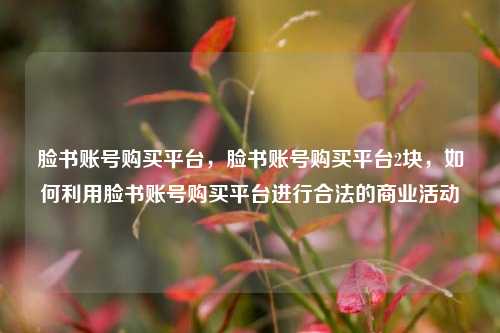 脸书账号购买平台，脸书账号购买平台2块，如何利用脸书账号购买平台进行合法的商业活动