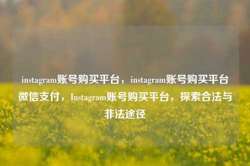 instagram账号购买平台，instagram账号购买平台微信支付，Instagram账号购买平台，探索合法与非法途径