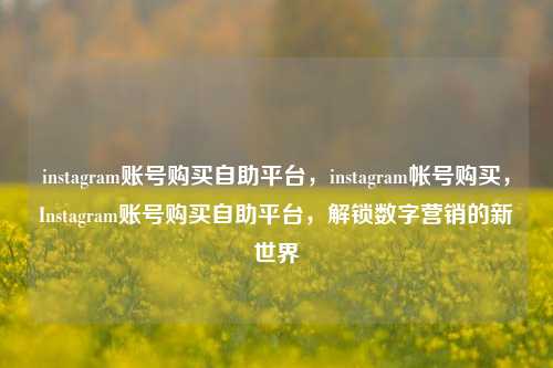 instagram账号购买自助平台，instagram帐号购买，Instagram账号购买自助平台，解锁数字营销的新世界