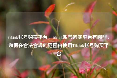 tiktok账号购买平台，tiktok账号购买平台有哪些，如何在合法合规的范围内使用TikTok账号购买平台