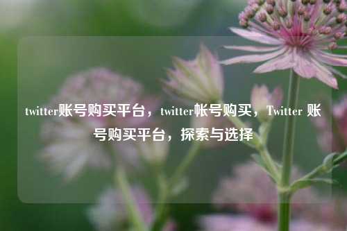 twitter账号购买平台，twitter帐号购买，Twitter 账号购买平台，探索与选择