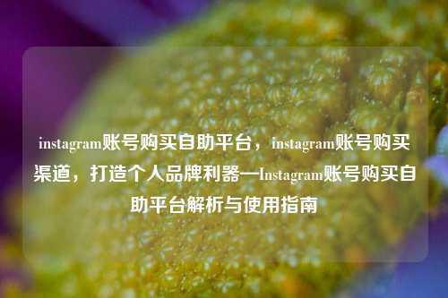 instagram账号购买自助平台，instagram账号购买渠道，打造个人品牌利器—Instagram账号购买自助平台解析与使用指南