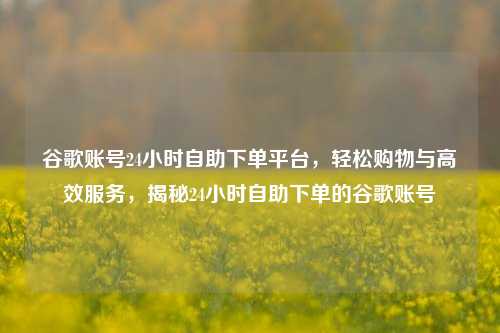 谷歌账号24小时自助下单平台	，轻松购物与高效服务，揭秘24小时自助下单的谷歌账号  第1张
