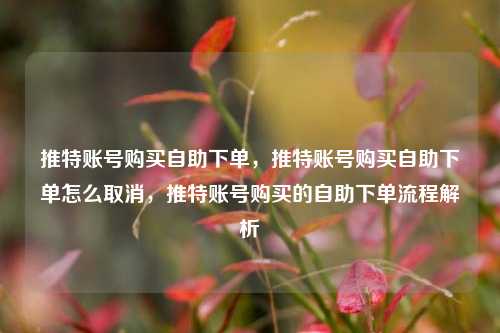 推特账号购买自助下单，推特账号购买自助下单怎么取消，推特账号购买的自助下单流程解析