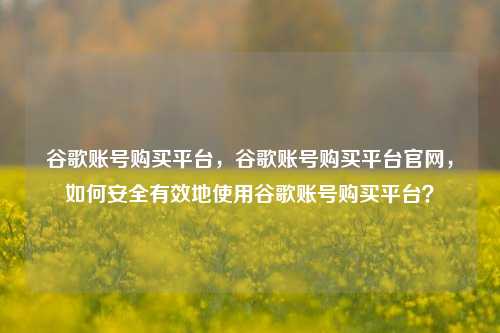 谷歌账号购买平台，谷歌账号购买平台官网，如何安全有效地使用谷歌账号购买平台？