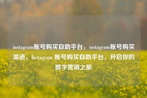 instagram账号购买自助平台，instagram账号购买渠道，Instagram 账号购买自助平台，开启你的数字营销之旅