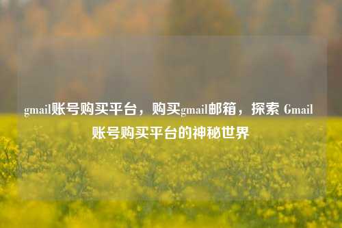 gmail账号购买平台，购买gmail邮箱，探索 Gmail 账号购买平台的神秘世界