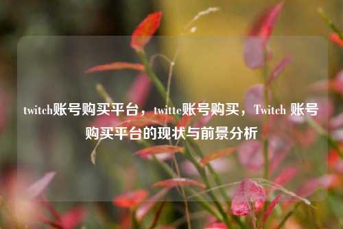 twitch账号购买平台，twitte账号购买，Twitch 账号购买平台的现状与前景分析