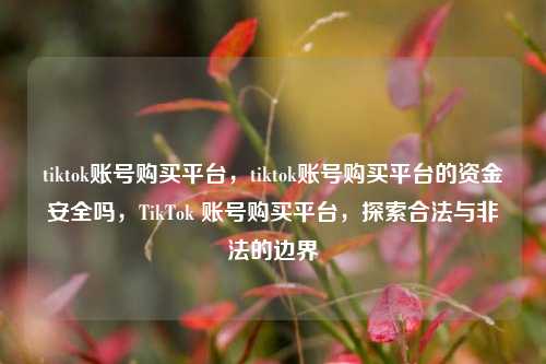 tiktok账号购买平台，tiktok账号购买平台的资金安全吗，TikTok 账号购买平台，探索合法与非法的边界