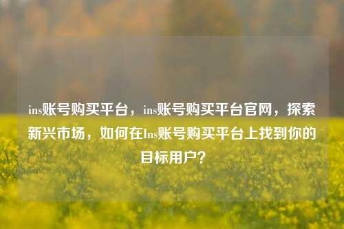 ins账号购买平台，ins账号购买平台官网，探索新兴市场，如何在Ins账号购买平台上找到你的目标用户？