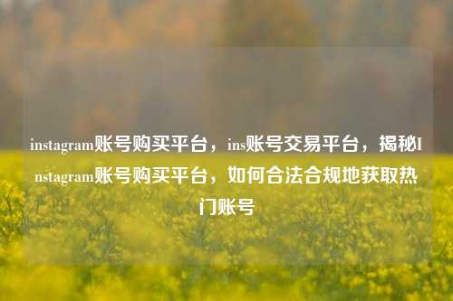 instagram账号购买平台，ins账号交易平台，揭秘Instagram账号购买平台，如何合法合规地获取热门账号