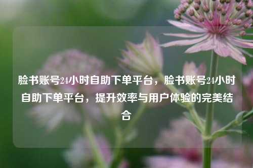 脸书账号24小时自助下单平台，脸书账号24小时自助下单平台，提升效率与用户体验的完美结合