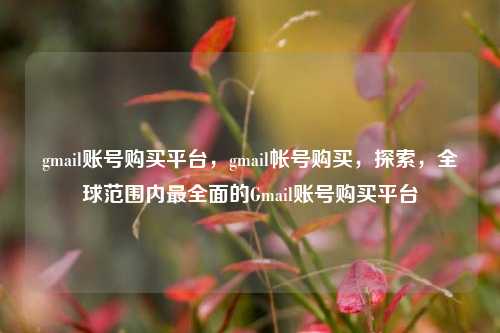 gmail账号购买平台，gmail帐号购买，探索，全球范围内最全面的Gmail账号购买平台