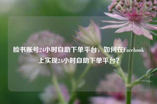 脸书账号24小时自助下单平台，如何在Facebook上实现24小时自助下单平台？