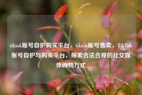 tiktok账号自护购买平台，tiktok账号售卖，TikTok账号自护与购买平台，探索合法合规的社交媒体购物方式