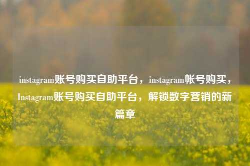 instagram账号购买自助平台，instagram帐号购买，Instagram账号购买自助平台，解锁数字营销的新篇章