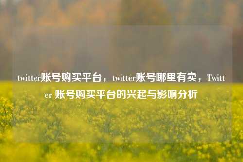 twitter账号购买平台，twitter账号哪里有卖，Twitter 账号购买平台的兴起与影响分析  第1张