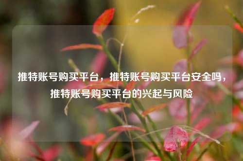 推特账号购买平台，推特账号购买平台安全吗，推特账号购买平台的兴起与风险