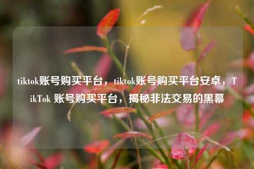 tiktok账号购买平台，tiktok账号购买平台安卓，TikTok 账号购买平台，揭秘非法交易的黑幕