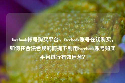 facebook帐号购买平台，facebook账号在线购买，如何在合法合规的前提下利用Facebook账号购买平台进行有效运营？