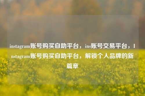 instagram账号购买自助平台，ins账号交易平台，Instagram账号购买自助平台，解锁个人品牌的新篇章