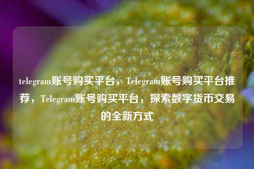 telegram账号购买平台，Telegram账号购买平台推荐，Telegram账号购买平台，探索数字货币交易的全新方式