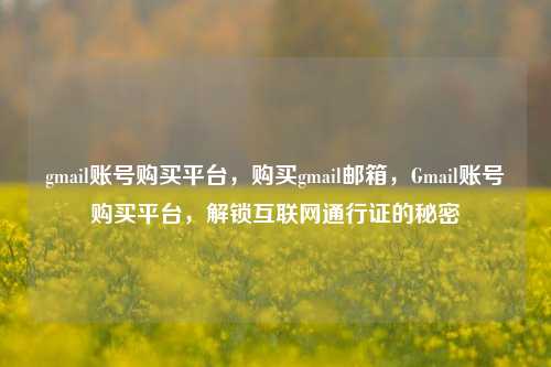 gmail账号购买平台，购买gmail邮箱，Gmail账号购买平台，解锁互联网通行证的秘密