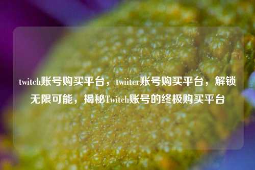 twitch账号购买平台，twiiter账号购买平台，解锁无限可能，揭秘Twitch账号的终极购买平台