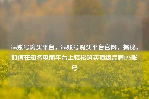 ins账号购买平台	，ins账号购买平台官网，揭秘，如何在知名电商平台上轻松购买顶级品牌INS账号  第1张