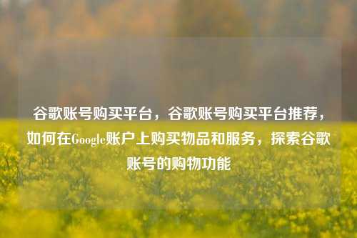 谷歌账号购买平台，谷歌账号购买平台推荐，如何在Google账户上购买物品和服务，探索谷歌账号的购物功能