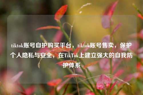 tiktok账号自护购买平台，tiktok账号售卖，保护个人隐私与安全，在TikTok上建立强大的自我防护体系