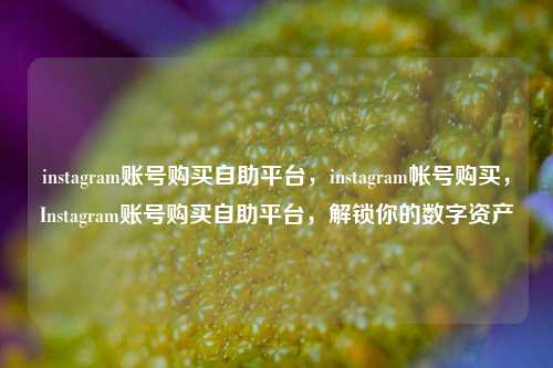 instagram账号购买自助平台，instagram帐号购买，Instagram账号购买自助平台，解锁你的数字资产