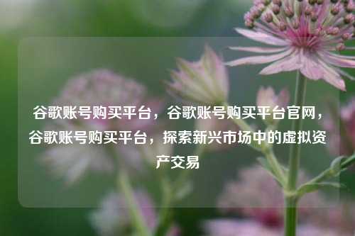 谷歌账号购买平台，谷歌账号购买平台官网，谷歌账号购买平台，探索新兴市场中的虚拟资产交易