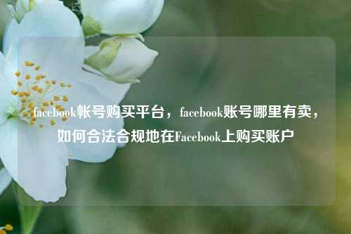 facebook帐号购买平台	，facebook账号哪里有卖，如何合法合规地在Facebook上购买账户  第1张