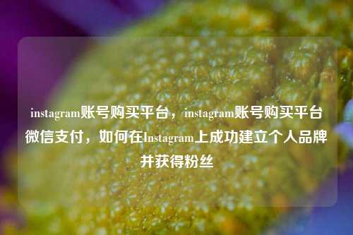 instagram账号购买平台，instagram账号购买平台微信支付，如何在Instagram上成功建立个人品牌并获得粉丝