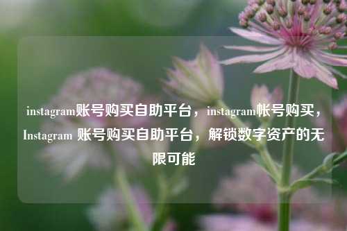 instagram账号购买自助平台，instagram帐号购买，Instagram 账号购买自助平台，解锁数字资产的无限可能