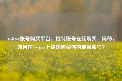 twitter账号购买平台，推特账号在线购买，揭秘，如何在Twitter上成功购买你的专属账号？