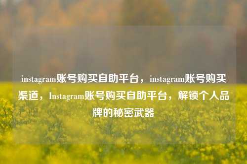 instagram账号购买自助平台	，instagram账号购买渠道，Instagram账号购买自助平台，解锁个人品牌的秘密武器  第1张