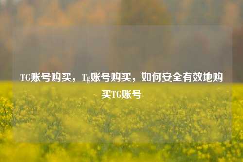TG账号购买，Tg账号购买，如何安全有效地购买TG账号