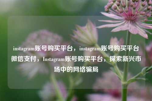 instagram账号购买平台，instagram账号购买平台微信支付，Instagram账号购买平台，探索新兴市场中的网络骗局