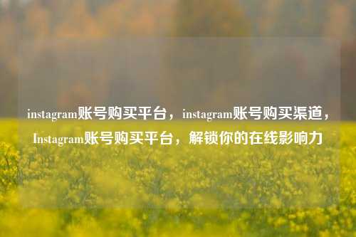 instagram账号购买平台，instagram账号购买渠道，Instagram账号购买平台，解锁你的在线影响力