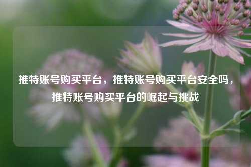 推特账号购买平台，推特账号购买平台安全吗	，推特账号购买平台的崛起与挑战  第1张