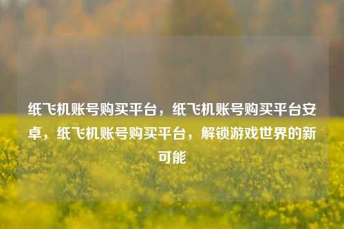 纸飞机账号购买平台，纸飞机账号购买平台安卓，纸飞机账号购买平台，解锁游戏世界的新可能