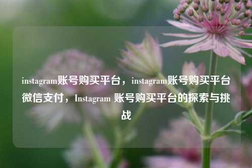 instagram账号购买平台，instagram账号购买平台微信支付，Instagram 账号购买平台的探索与挑战