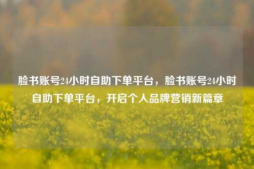 脸书账号24小时自助下单平台，脸书账号24小时自助下单平台，开启个人品牌营销新篇章