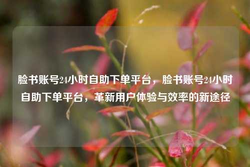 脸书账号24小时自助下单平台，脸书账号24小时自助下单平台	，革新用户体验与效率的新途径  第1张